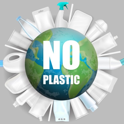 No Plastic Zone